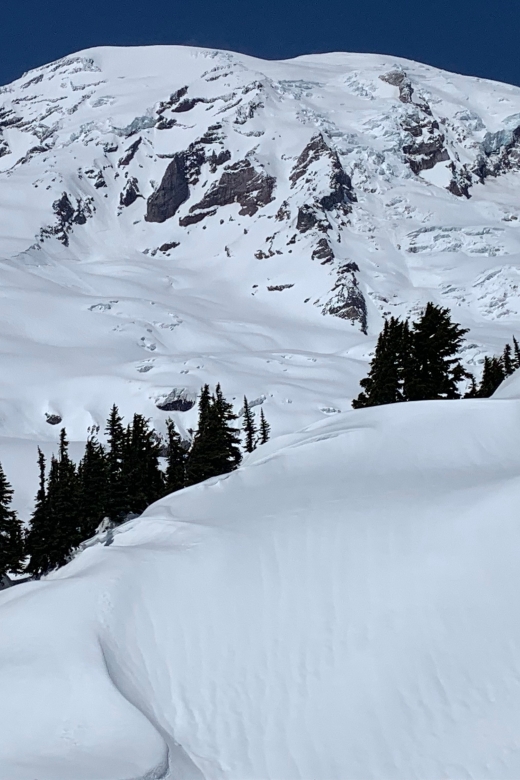 Seattle: Mt. Rainier Park Guided Full-Day Tour - Transport, Park Entry, and the Price: Does $179 Feel Fair?