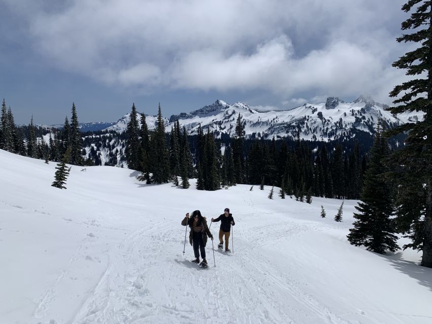 Seattle: Mt. Rainier Park Guided Full-Day Tour - Who This Guided Rainier Day Trip Fits Best
