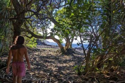 Secret Tide Pool Hike - Jungle & Coast - Private - Your 2.5 hours: the trail + the pool time that actually matters