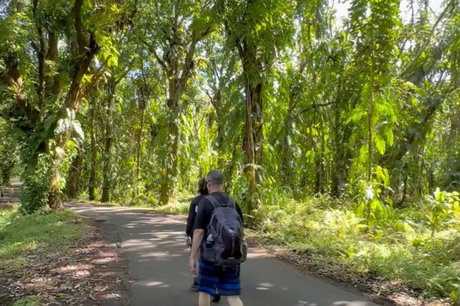 Secret Tide Pool Hike - Jungle & Coast - Private - Safety and Suitability: Who This Is For (and Who Should Think Twice)