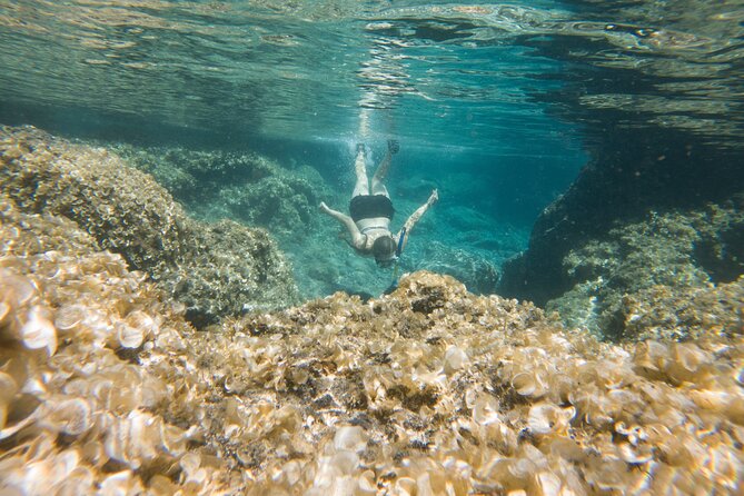 Secret Tide Pool Hike - Jungle & Coast - Private - Price and Value: Is $100 Per Person Worth It?