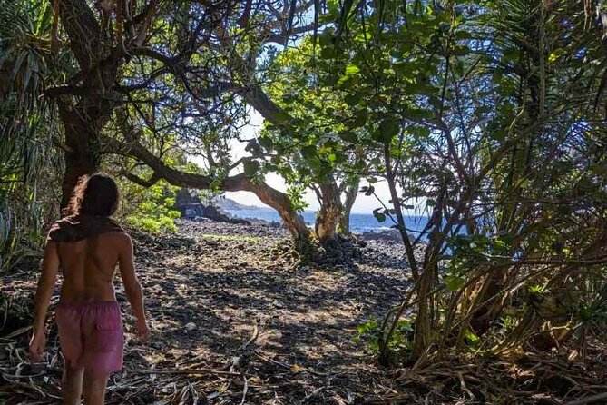 Secret Tide Pool Hike - Jungle & Coast - Private - If the Pool Can’t Be Entered: A Backup Plan That Still Feels Special