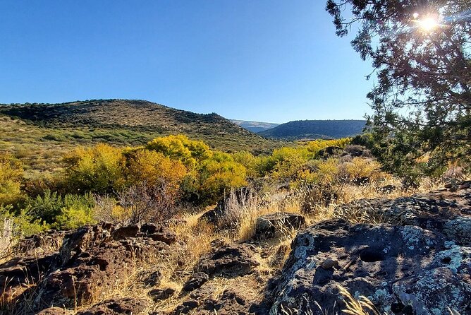 Sedona Archaeology Hiking Tour - Dogs, Service Animals, and Staying Within the Rules
