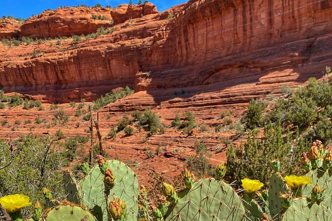Sedona Sacred Canyons Loop Hike With a Private Guide - Snacks, water, and a 4-hour structure that doesn’t waste time