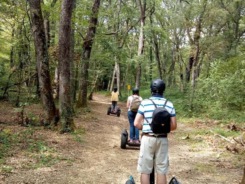 Segway hike 2h00 Aix les Bains between lake and forest - Booking Practicalities You Should Know Up Front