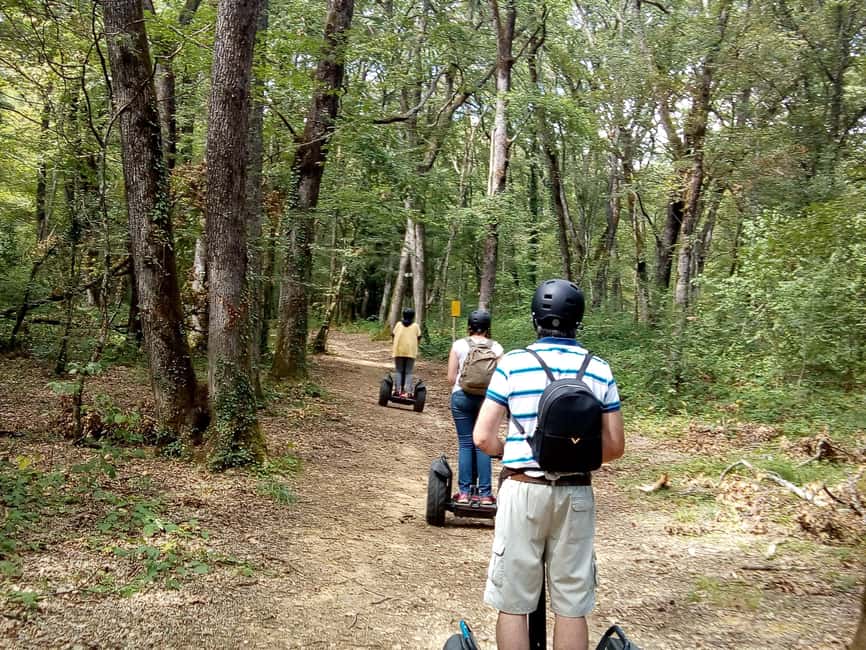 Segway hike 2h00 Aix les Bains between lake and forest - Downhill Scenery: Wetlands, Wild Coast, and Quirky Stops