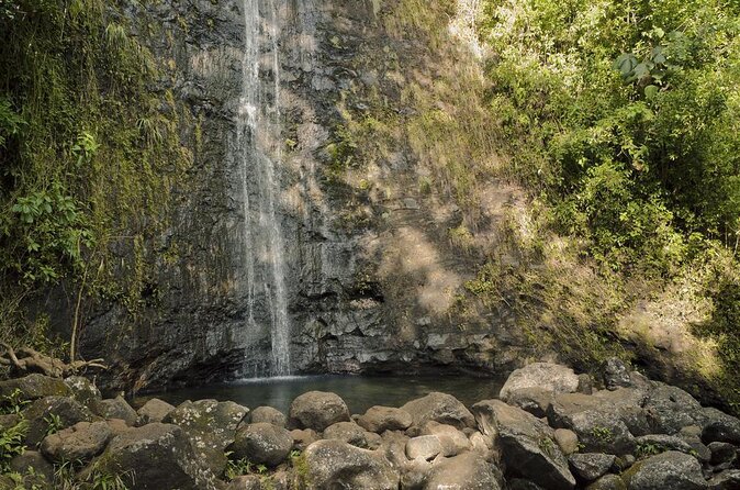 Self guided Hike Trail to Nature Walk & Waterfall - Key highlights you’ll actually feel