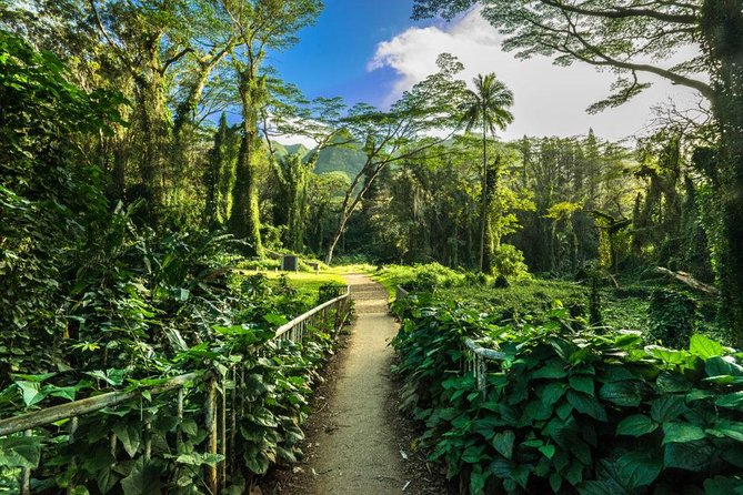 Self guided Hike Trail to Nature Walk & Waterfall - Manoa Falls vs the beach: why this hike makes sense on Oahu