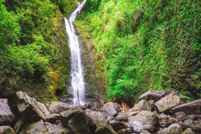 Self Guided Hike Trail to Nature Walk & Waterfall - From Waikiki: why the air-conditioned ride is part of the value