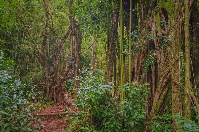 Self guided Hike Trail to Nature Walk & Waterfall - Price and value: what $79 buys you (and what it doesn’t)