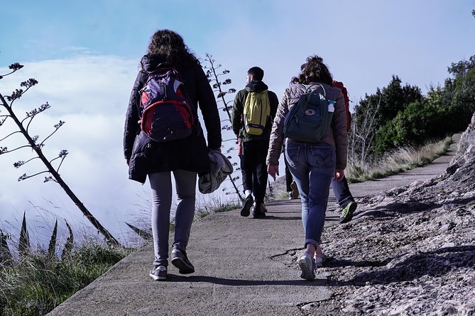 Semi-Private Montserrat Monastery & Hiking Experience - Who this tour fits best (and who should choose another plan)