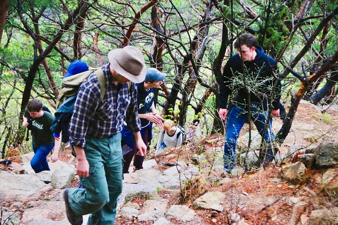 Seoul Mountain Hike: Temples, Folklore & Traditional Meal - Should you book this Seoul mountain hike?