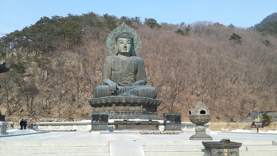 Seoul: Mt Seorak + Naksansa Temple or Nami Island Group Tour - Key things to know before you go