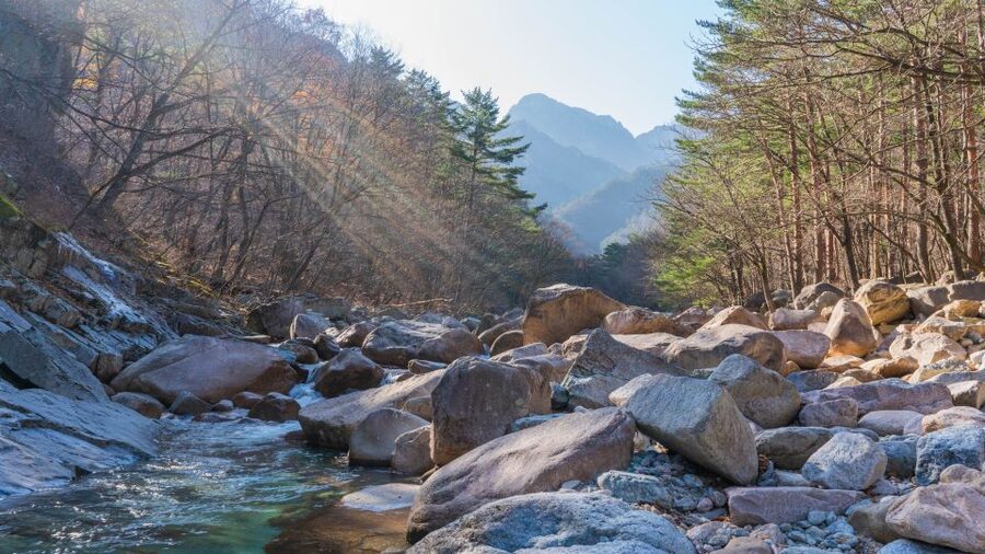 Seoul: Mt Seorak + Naksansa Temple or Nami Island Group Tour - Seoraksan National Park Hike: Peak Views, Route Choice, and Real Timing