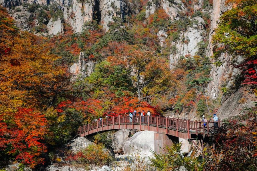 Seoul: Mt Seorak + Naksansa Temple or Nami Island Group Tour - Picking Your Second Stop: Nami Island vs Naksansa Temple