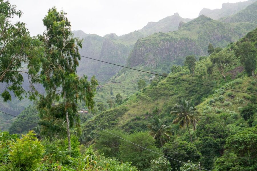Serra Malagueta Natural Park: Hike to Gongon Valley & Lunch - Quick hits you’ll care about