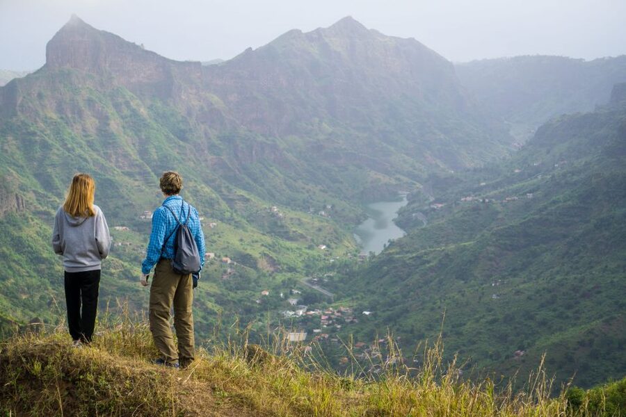 Serra Malagueta Natural Park: Hike to Gongon Valley & Lunch - Park plants and wildlife: what to look for on Serra Malagueta