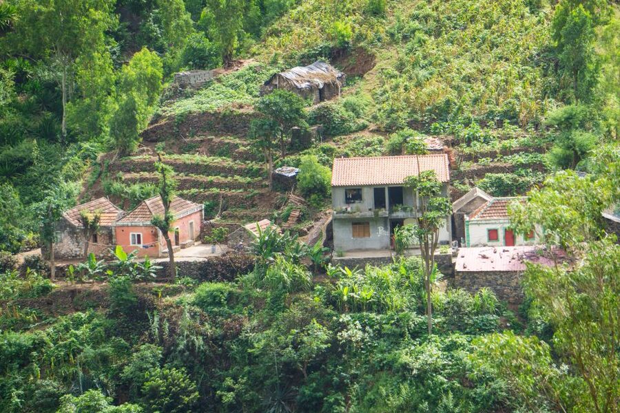 Serra Malagueta Natural Park: Hike to Gongon Valley & Lunch - Guides, drivers, and group pace: why it matters on a difficult hike