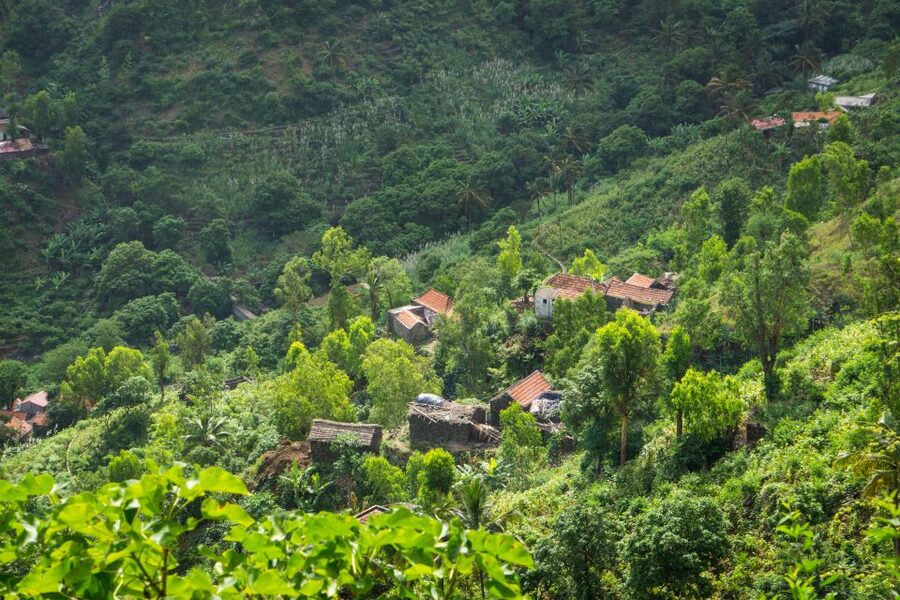 Serra Malagueta Natural Park: Hike to Gongon Valley & Lunch - Price and value: $106 plus the €2 park entrance