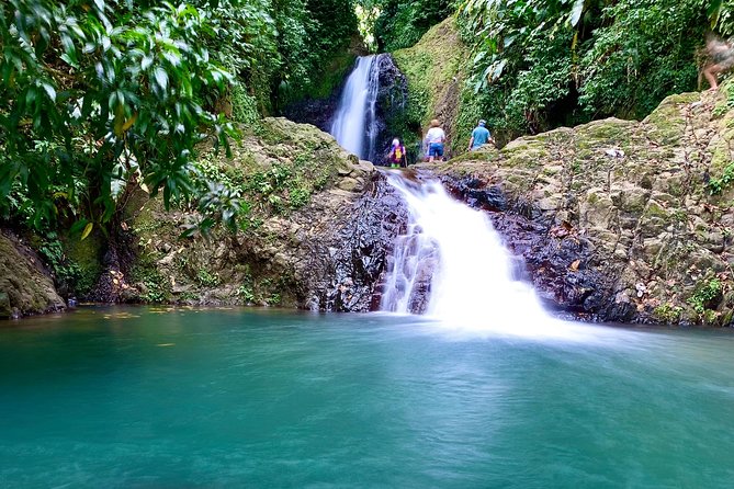 Seven Sisters Falls Hike / Annandale Falls / Grand Etang National Park & Lake - Getting There From St. George’s: Comfortable Rides, Real Timing