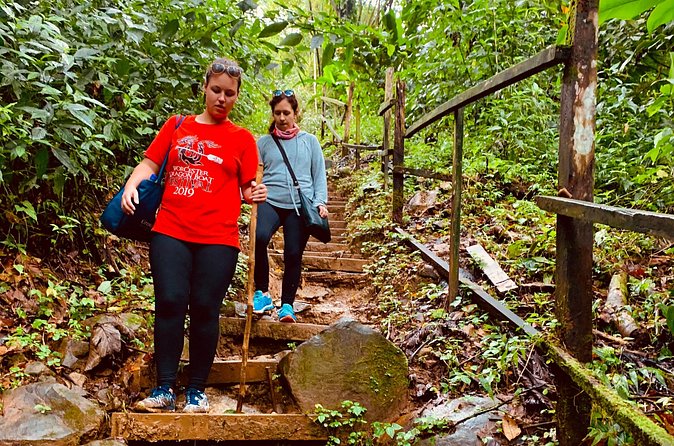 Seven Sisters Falls Hike / Annandale Falls / Grand Etang National Park & Lake - What the Guides Add: History, Plants, and Practical Hints