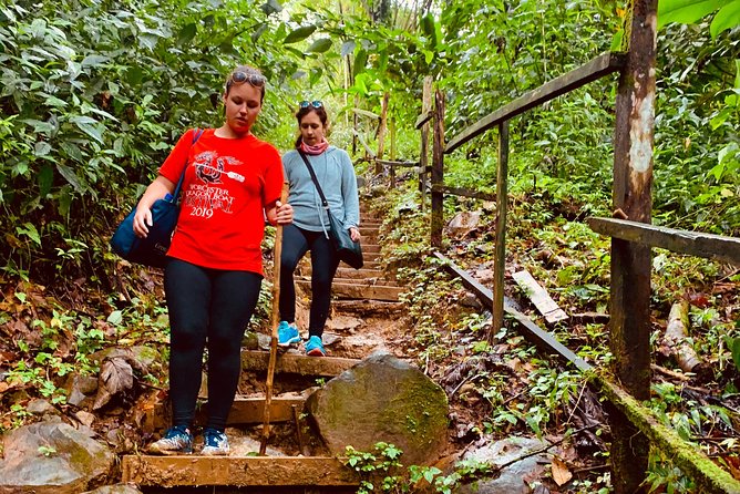 Seven Sisters Falls Hike / Annandale Falls / Grand Etang National Park & Lake - Annandale vs Seven Sisters: Which One Should You Care About Most?