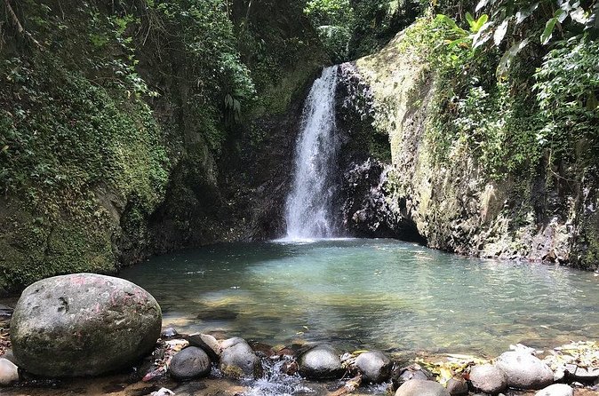 Seven Sisters Waterfalls Hike - The descent into Grand Etang National Park: steep, muddy, and full of life