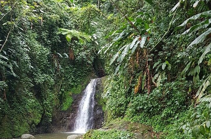 Seven Sisters Waterfalls Hike - Guide matters: pacing, safety help, and Grenada stories in motion