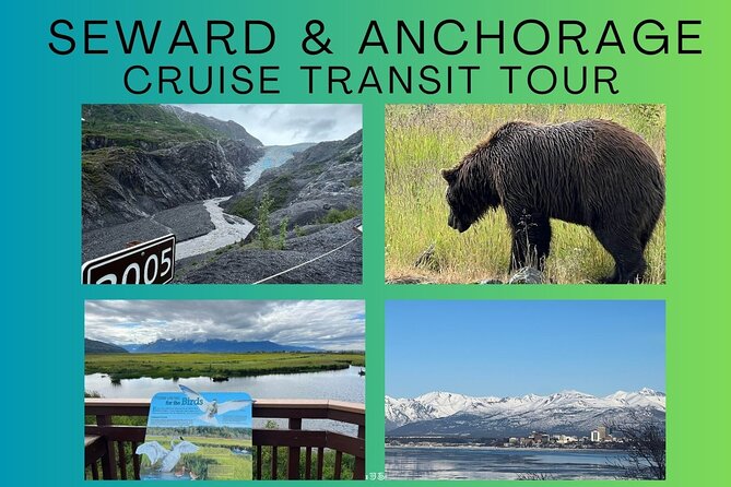 Seward to Anchorage transfer with National Park hike and AWCC - A Seward to Anchorage Transfer That Feels Like Sightseeing, Not Transit