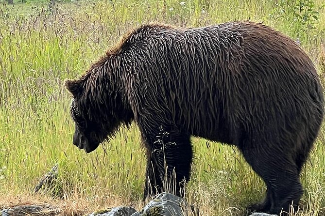 Seward to Anchorage transfer with National Park hike and AWCC - Exit Glacier Hike in Kenai Fjords: The Stop That’s Worth the Boots