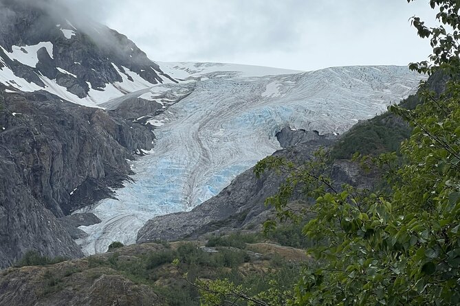 Seward to Anchorage transfer with National Park hike and AWCC - Potter Marsh Bird Sanctuary: A Solid Birdwatching Intermission