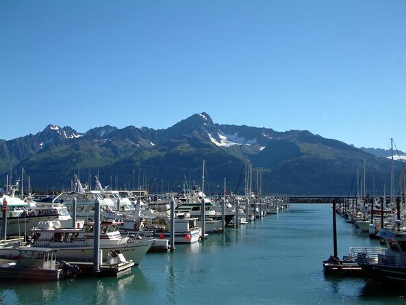 Seward Wilderness Hiking - Key highlights you’ll feel on the hike