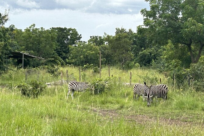 Shai Hills Safari - Hike & See Animals - Guides and photo time: why Enoch-style service makes the day better