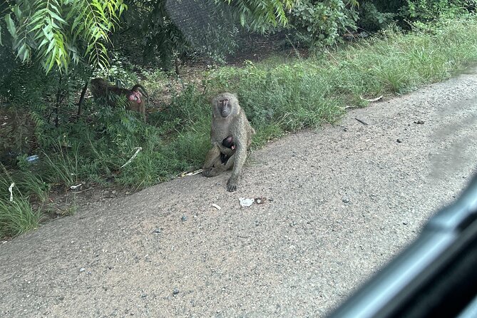 Shai Hills Safari - Hike & See Animals - What the tour gives you: included vs. not included