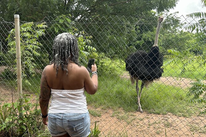 Shai Hills Safari - Hike & See Animals - Price and value: is $130 a good deal?