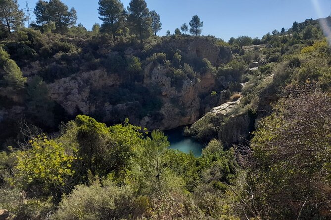 Shared Hike Tour in Valencia - Key highlights you should care about