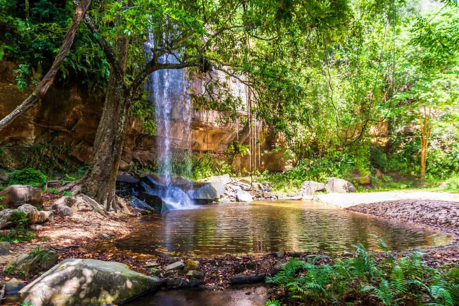 Shimba Hills Day Safari & Sheldrick Falls Hike Private Tour - From Coastal Pickup to Shimba Hills Gate: time on the road, then the fun begins