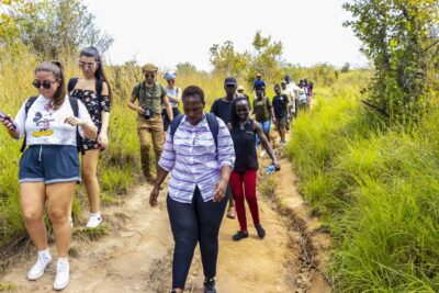Shimba Hills Day Safari & Sheldrick Falls Hike Private Tour - Game Drive in Shimba Hills National Reserve: sightings depend on where the animals are