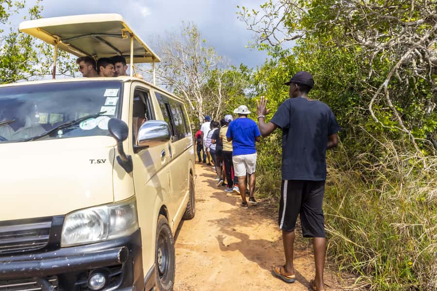 Shimba Hills Day Safari & Sheldrick Falls Hike Private Tour - FAQ