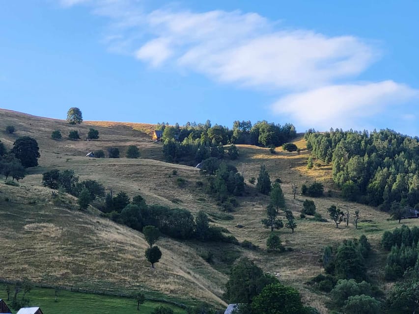 Sibiu: Cindrel Mountains Hike with Traditional Brunch - Why the Cindrel Mountains feel like a real day trip from Sibiu
