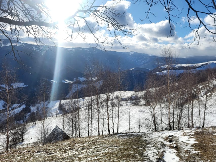 Sibiu: Cindrel Mountains Hike with Traditional Brunch - The pace and trail feel: moderate, but plan for uneven ground