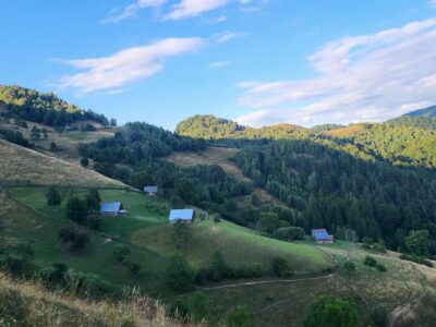 Sibiu: Cindrel Mountains Hike with Traditional Brunch - The hike plan: 4–5 hours of forest, meadows, and views