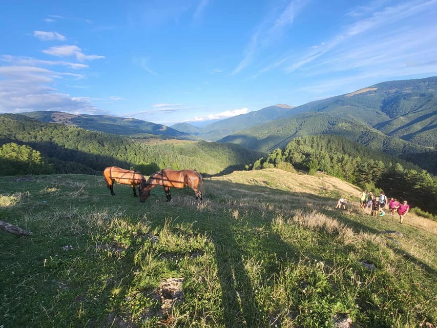 Sibiu: Cindrel Mountains Hike with Traditional Brunch - What’s included, and what you’ll pay extra