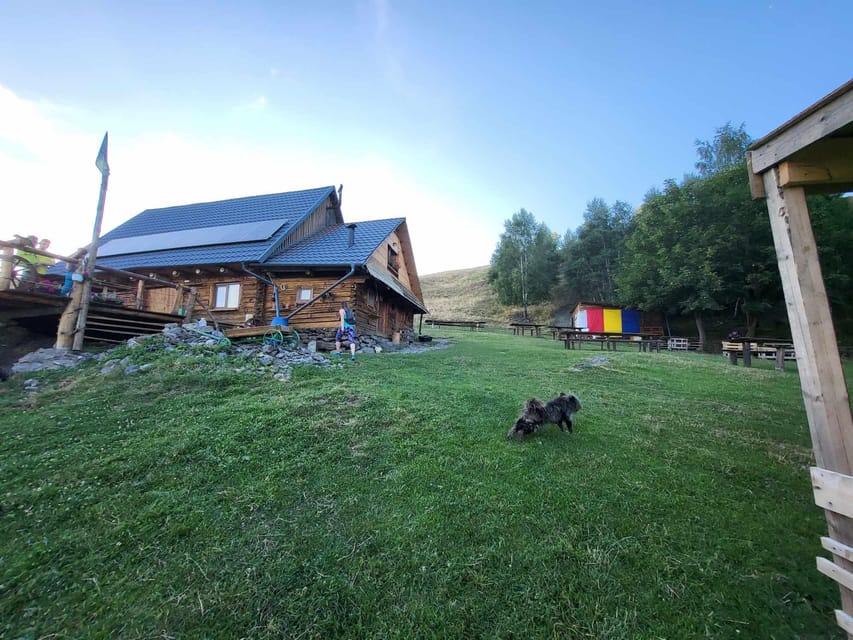 Sibiu: Cindrel Mountains Hike with Traditional Brunch - Price fairness: who gets the best value from this deal