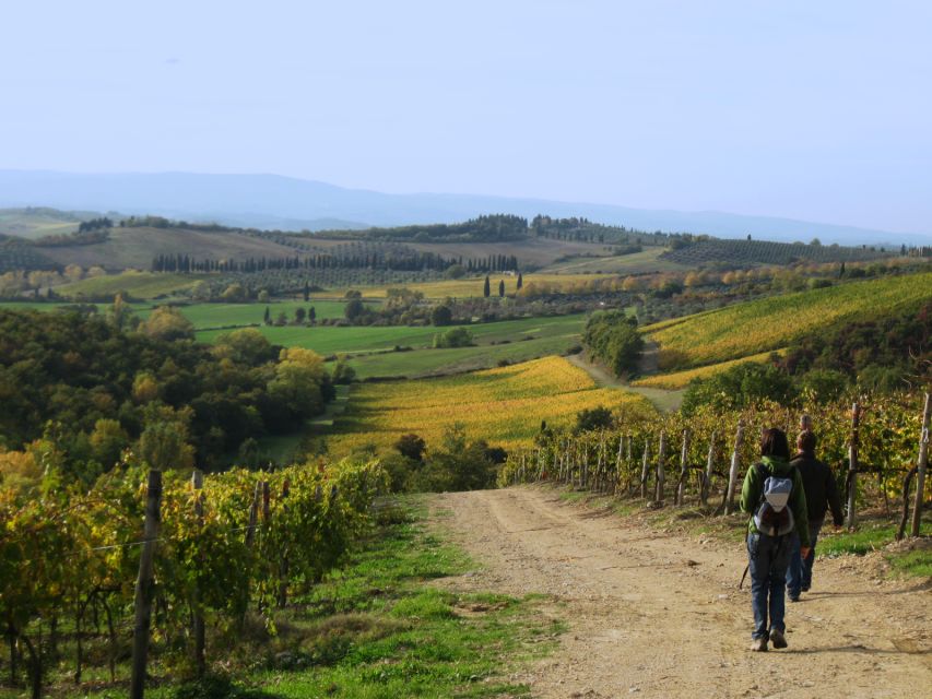 Siena: Half-day Guided Hike to Monteriggioni - Why This Siena to Monteriggioni Hike Works