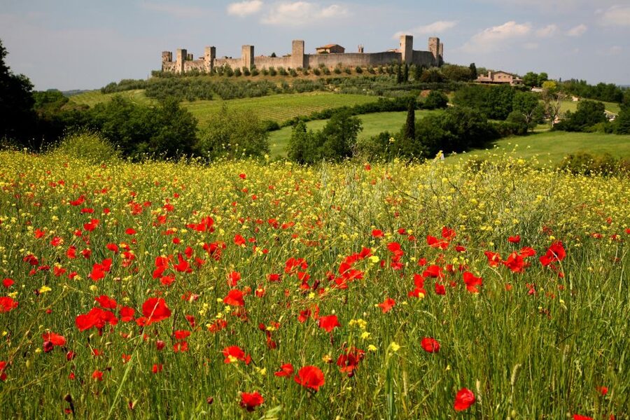 Siena: Half-day Guided Hike to Monteriggioni - Logistics That Matter: Shoes, Water, and How to Use Your Time