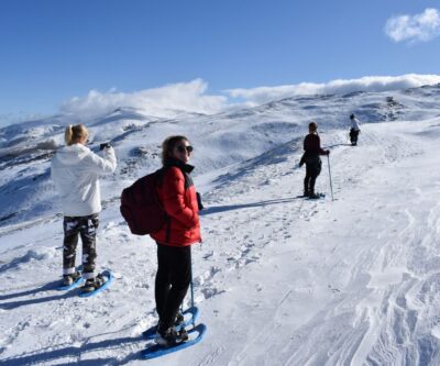 Sierra Nevada: Snowshoe Hiking Tour - The 4-hour flow: gear up, walk the easy snow route, then warm up