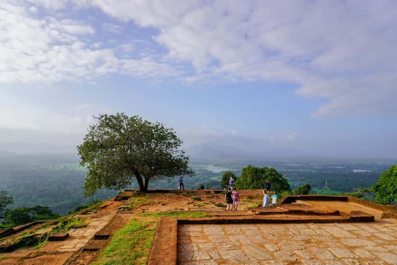 Sigiriya Lion Rock Hike & Minneriya National Park Safari - The safari experience: what 3–4 hours with elephants is really like