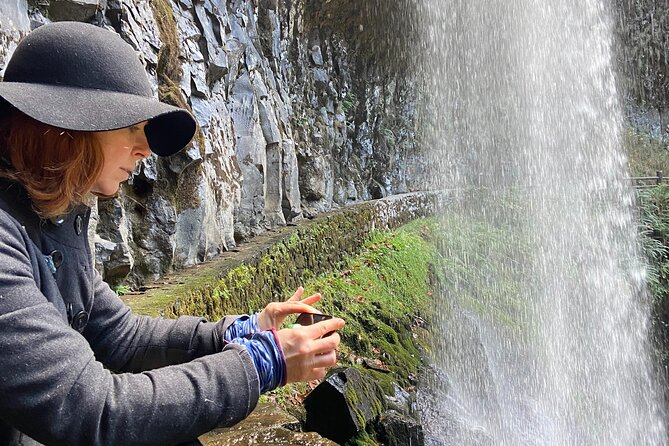 Silver Falls Waterfall Hiking Tour from Portland - North Falls and the lava tree casts you might not expect