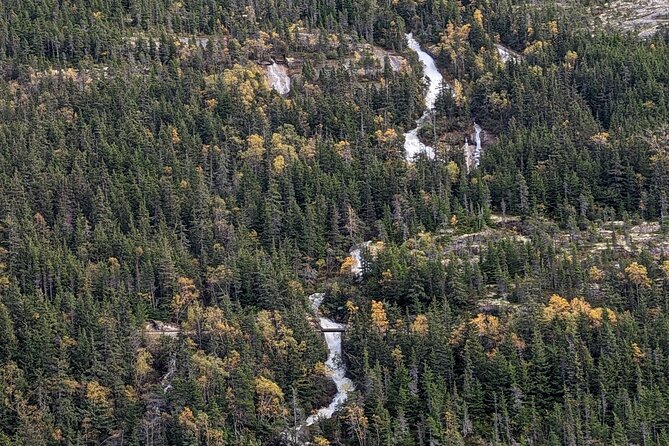 Skagway City and Summit Tour - Guides make the difference (and names show up for a reason)